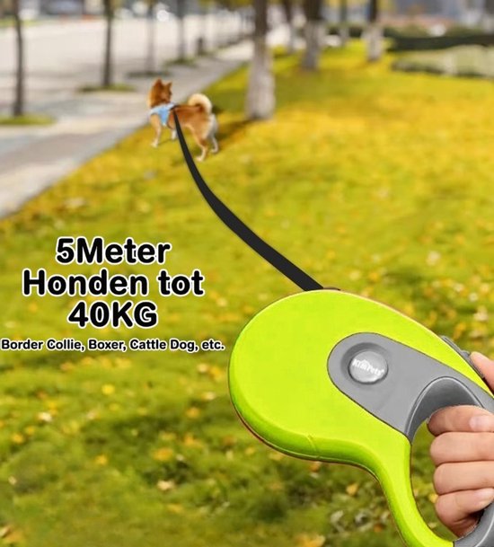 Uitschuifbare Hondenriem 5M (Tot 40KG) - Hondenlijn uittrekbaar - Automatische hondenriem - Rollijn - Anti-klit - Ergonomisch Handvat met Remsysteem - RVS Sluiting - Quick Lock Functie - Groen